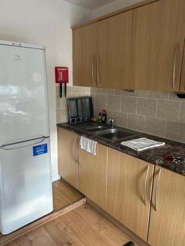 Shoreditch Hoxton Large 3 Bed Garden Flat Free Parking Aor Only Londra Dış mekan fotoğraf